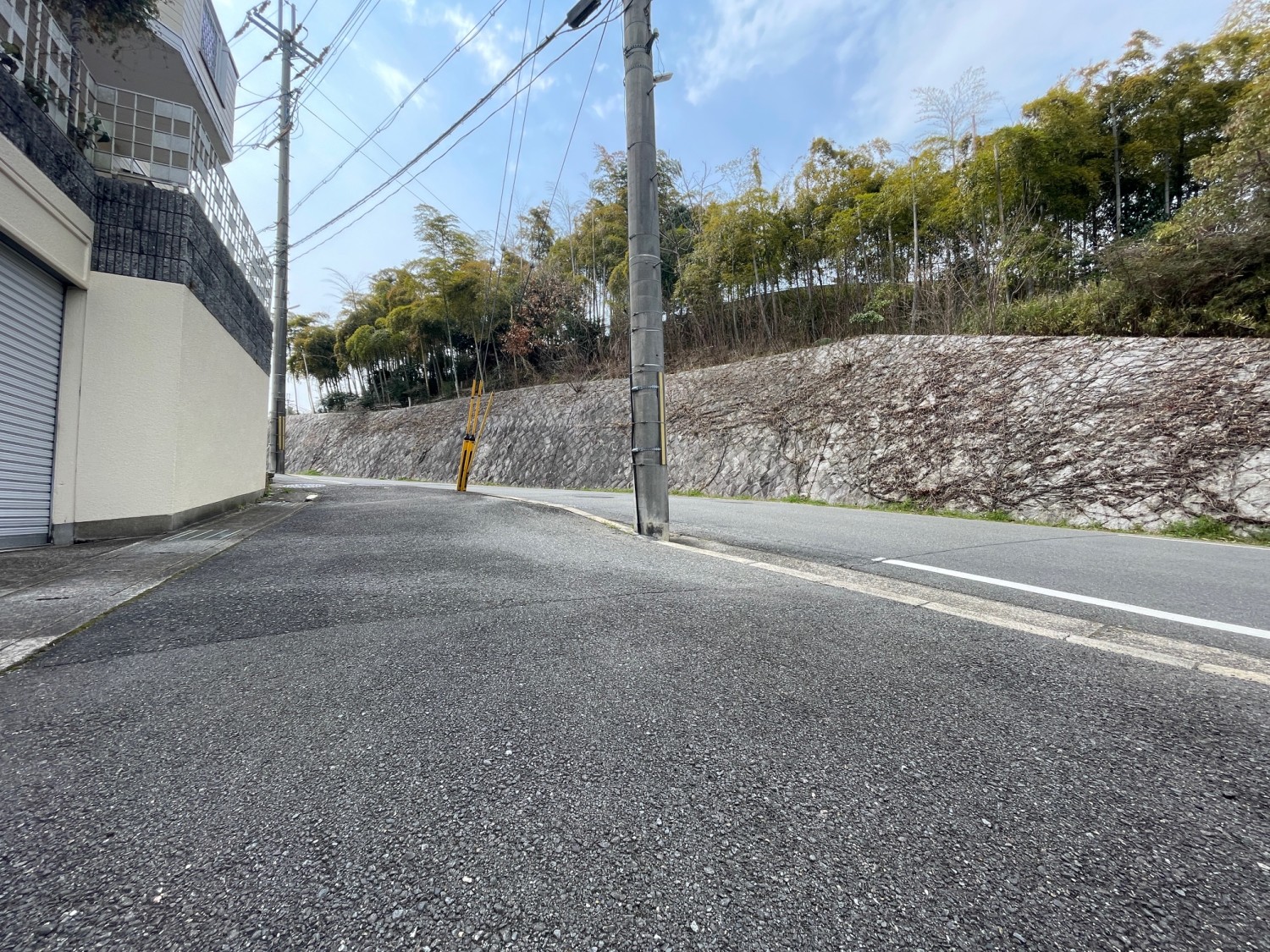 写真1