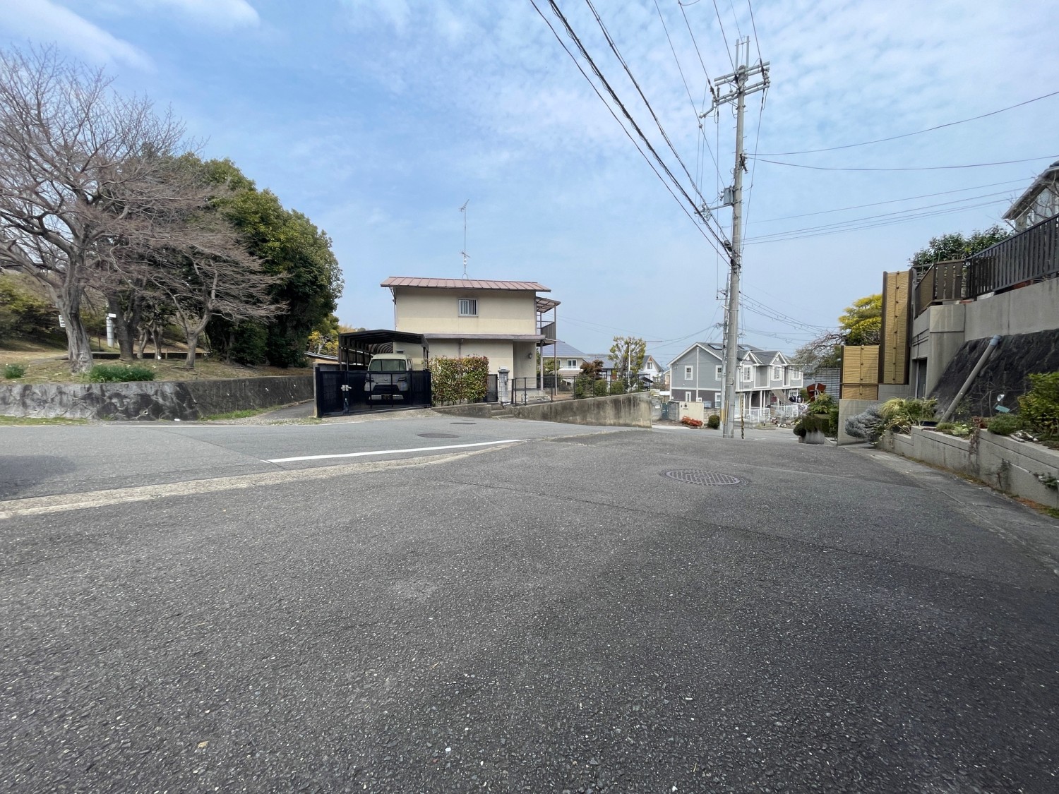 写真2