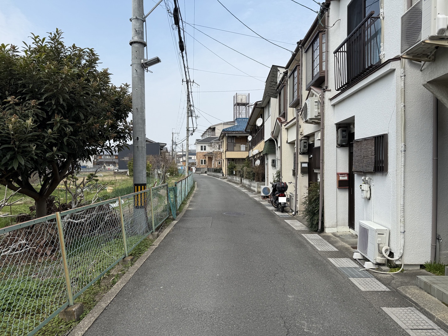 写真3