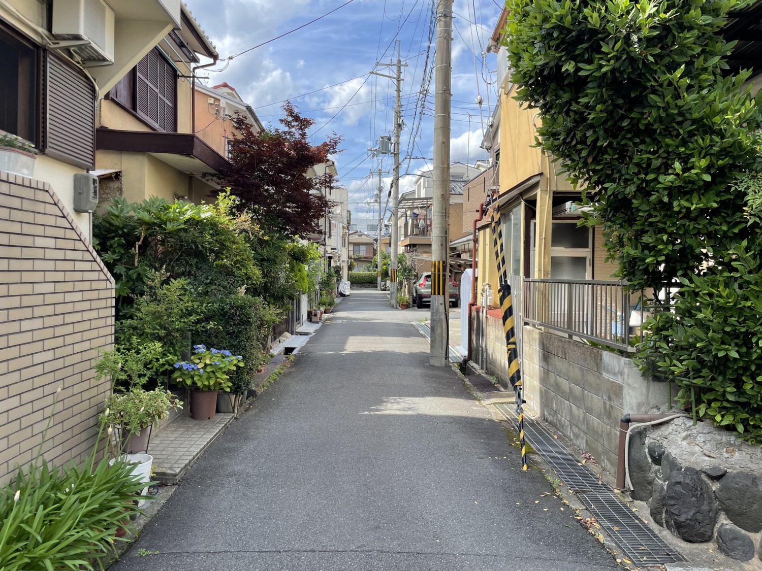写真6