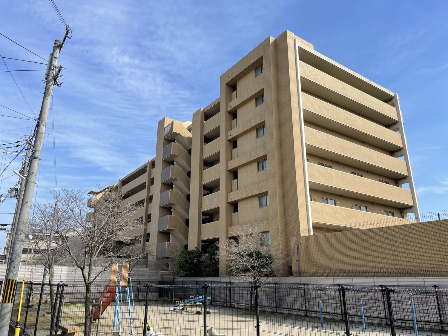 写真1
