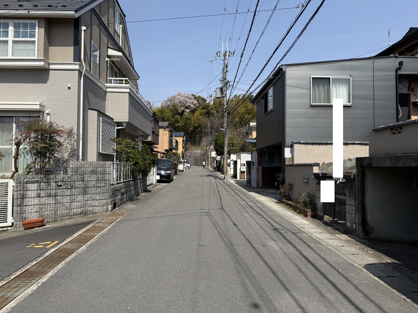 写真7