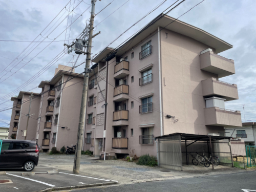 写真1