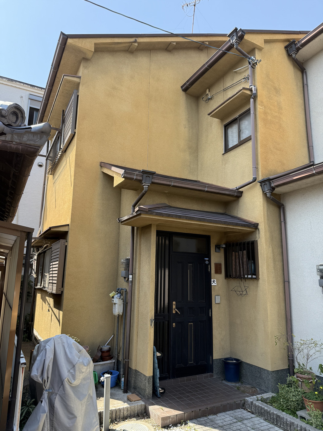 写真1