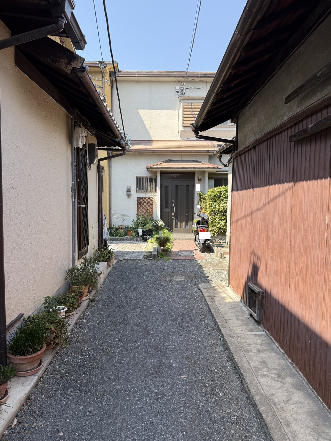 写真2