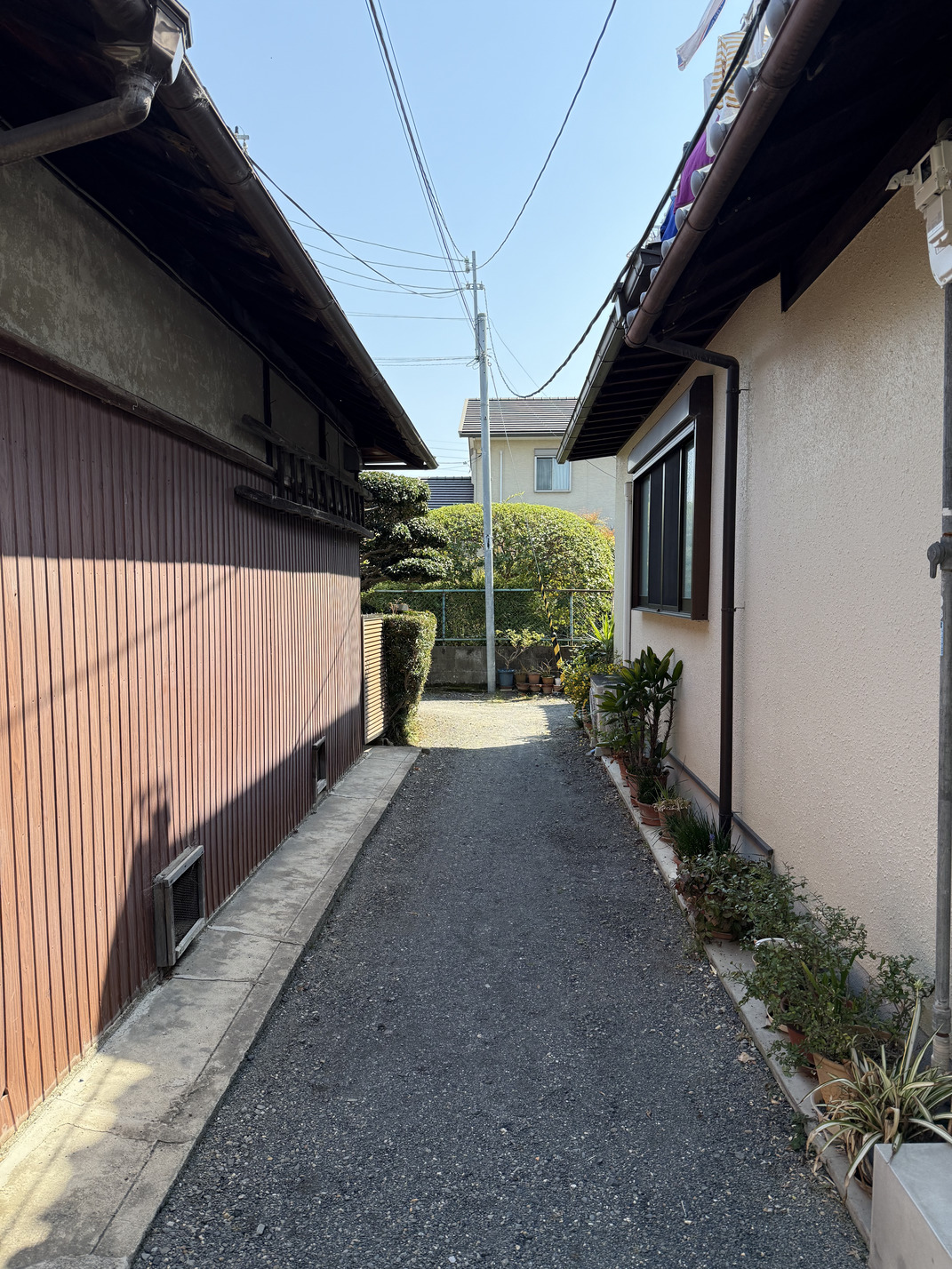 写真3