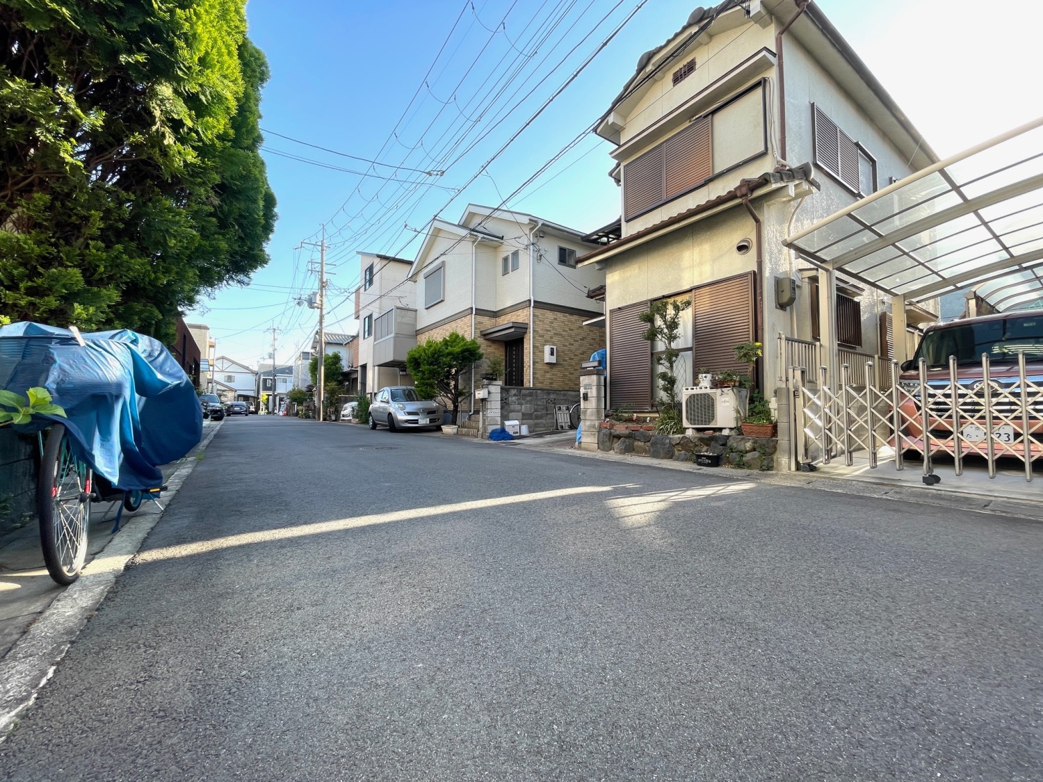 写真1