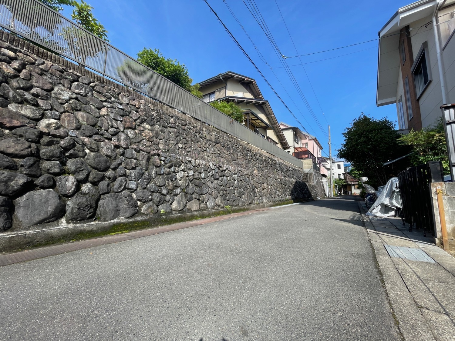 写真1