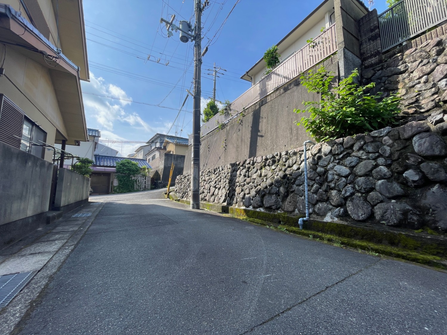 写真2