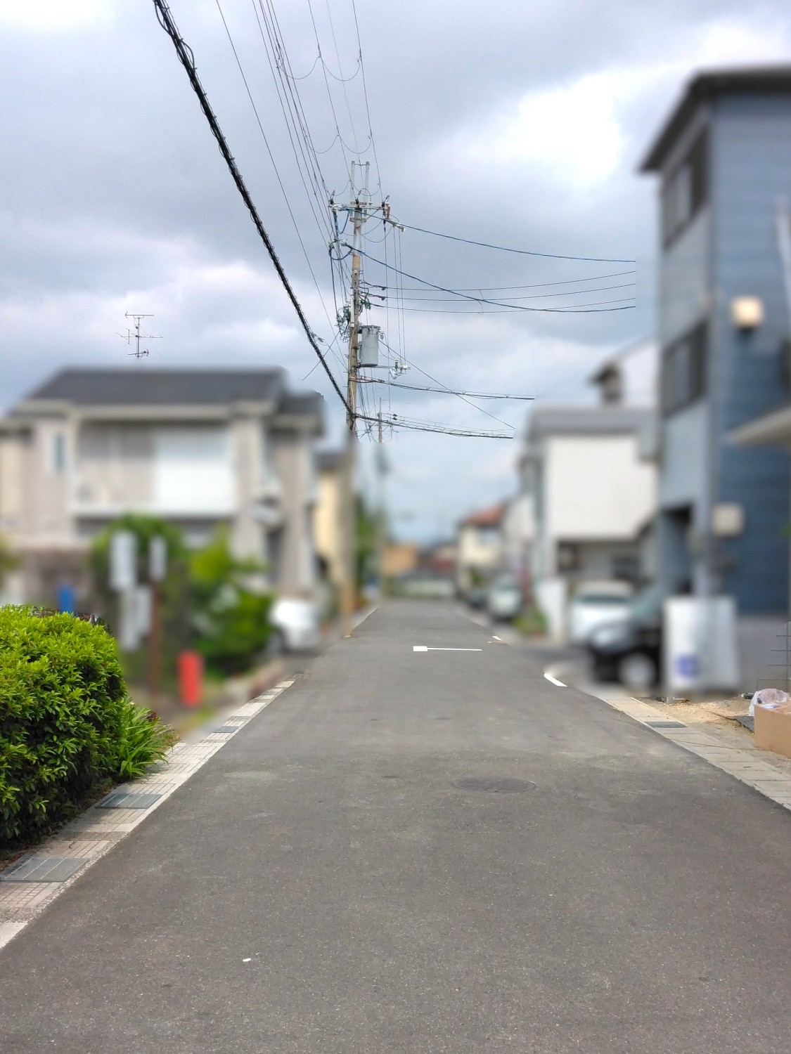写真1