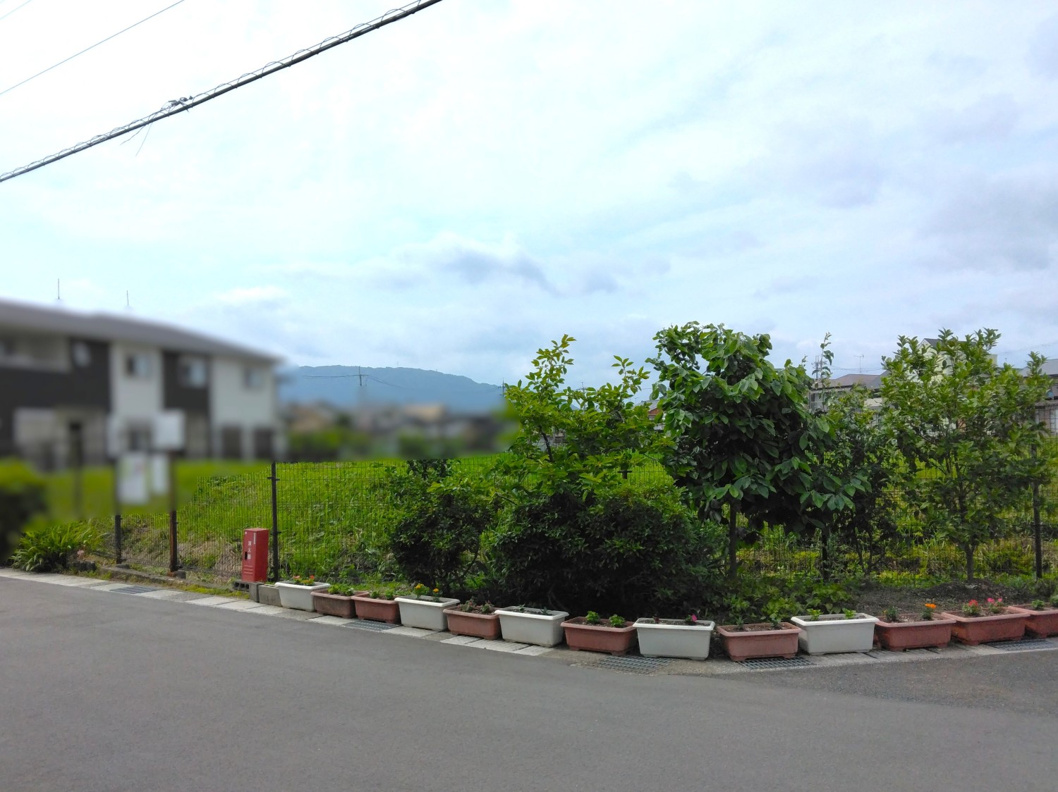 写真3