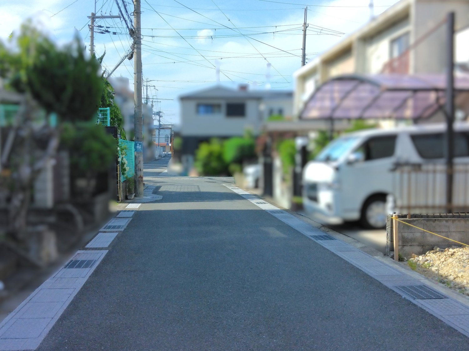 写真1