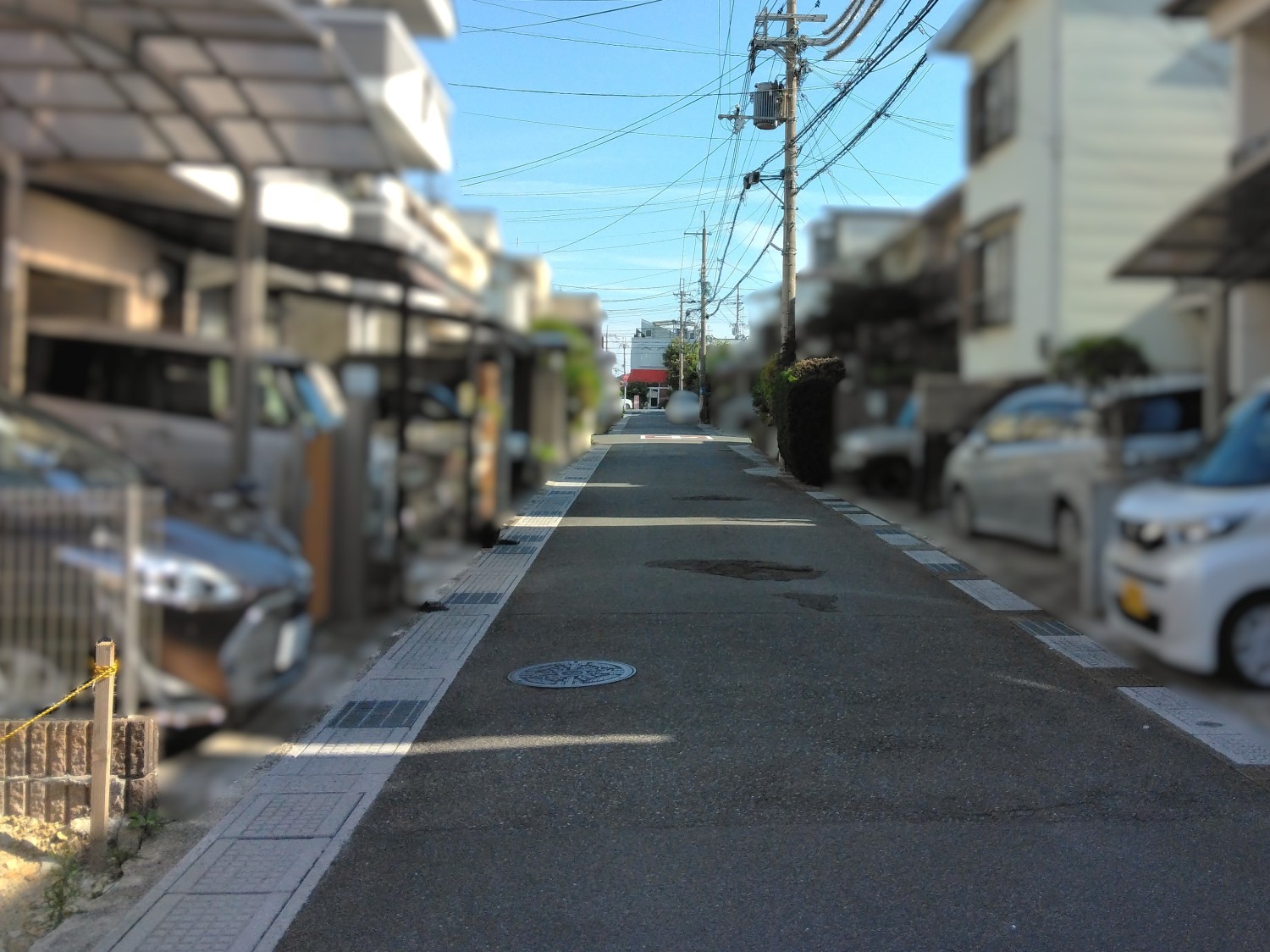 写真2