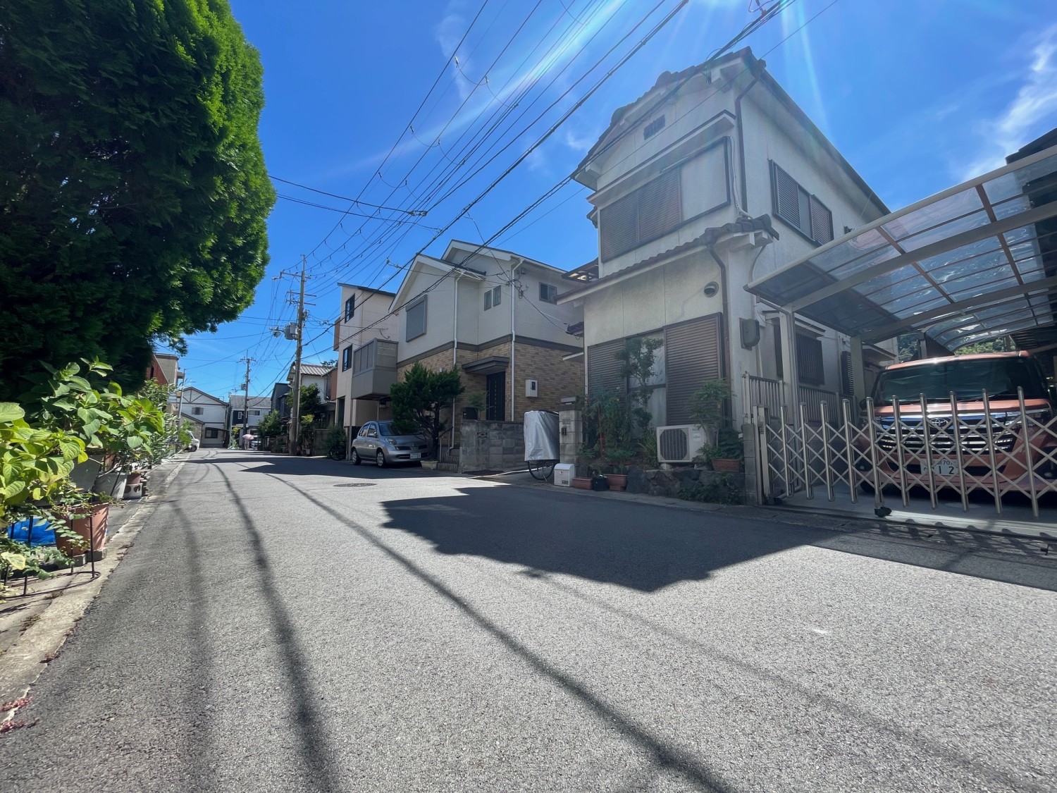 写真1