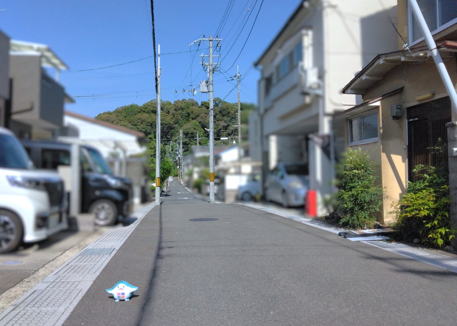 写真1