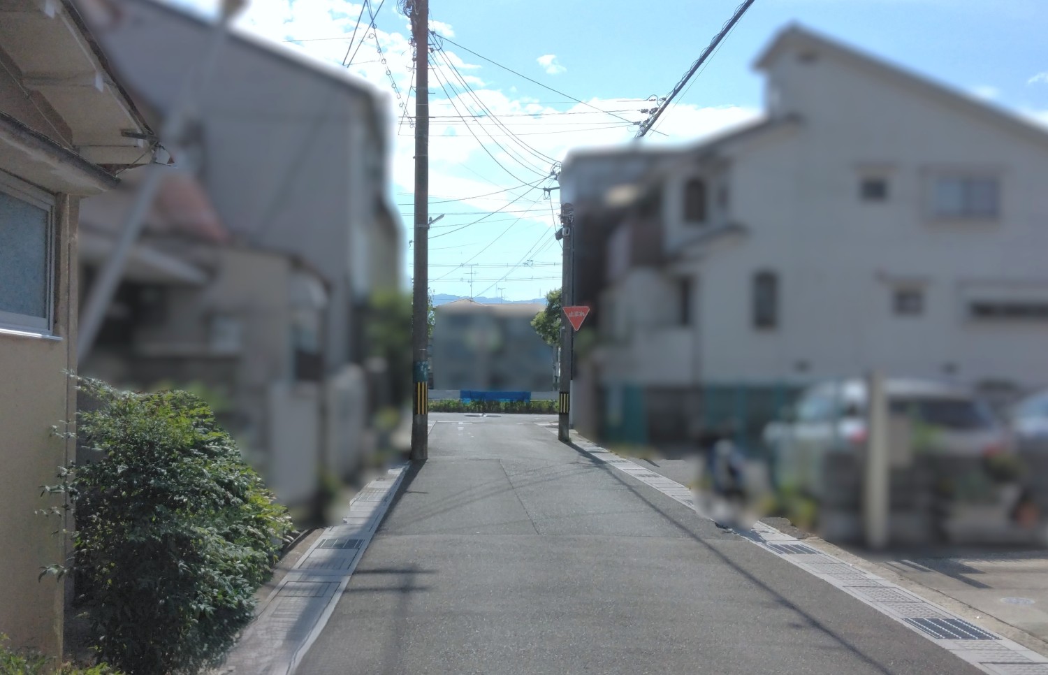 写真2
