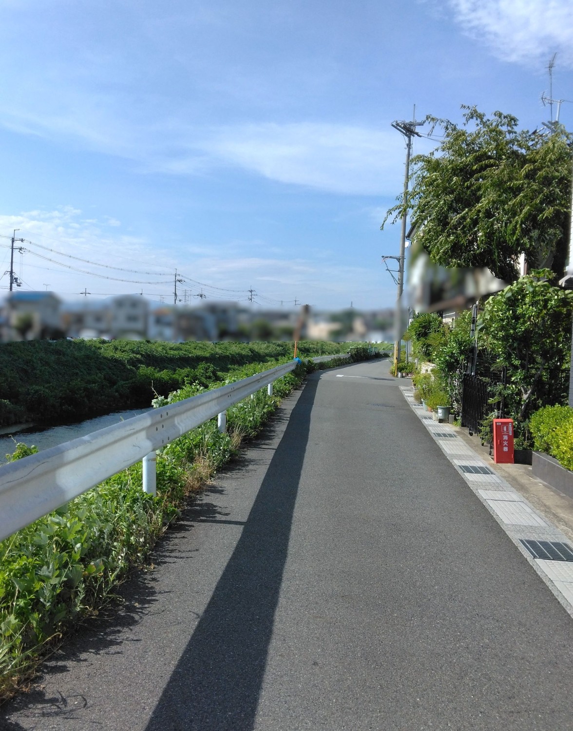 写真3