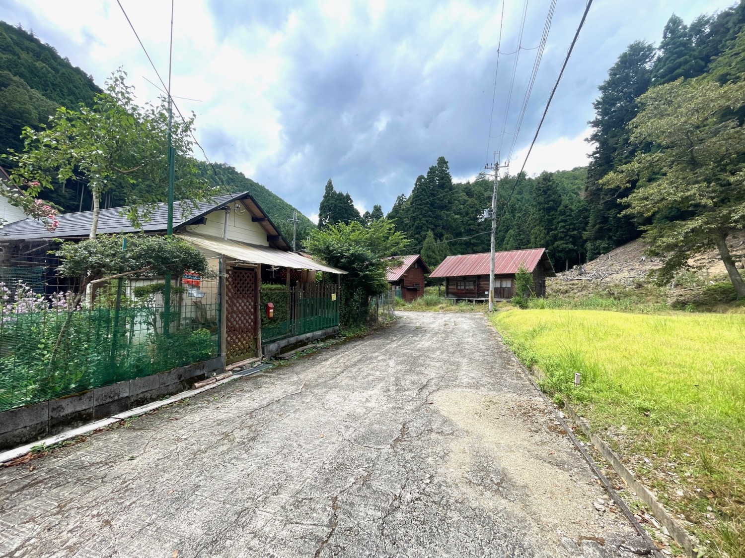 写真1