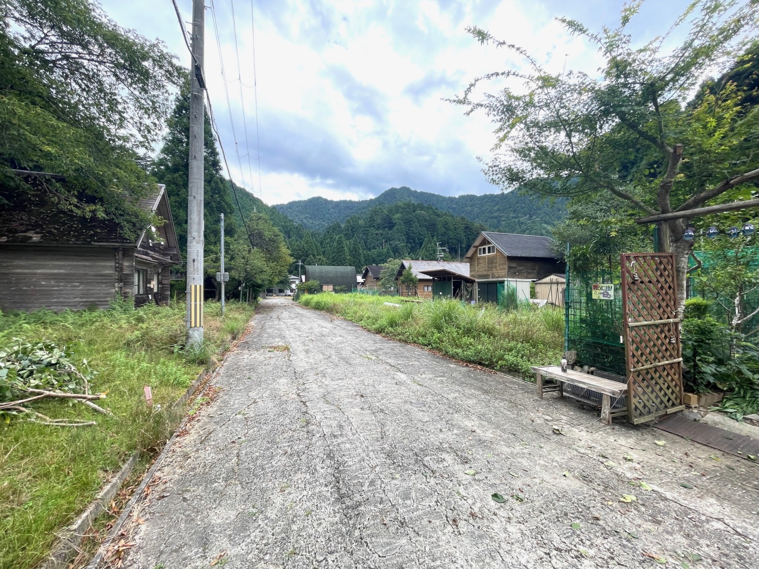写真2