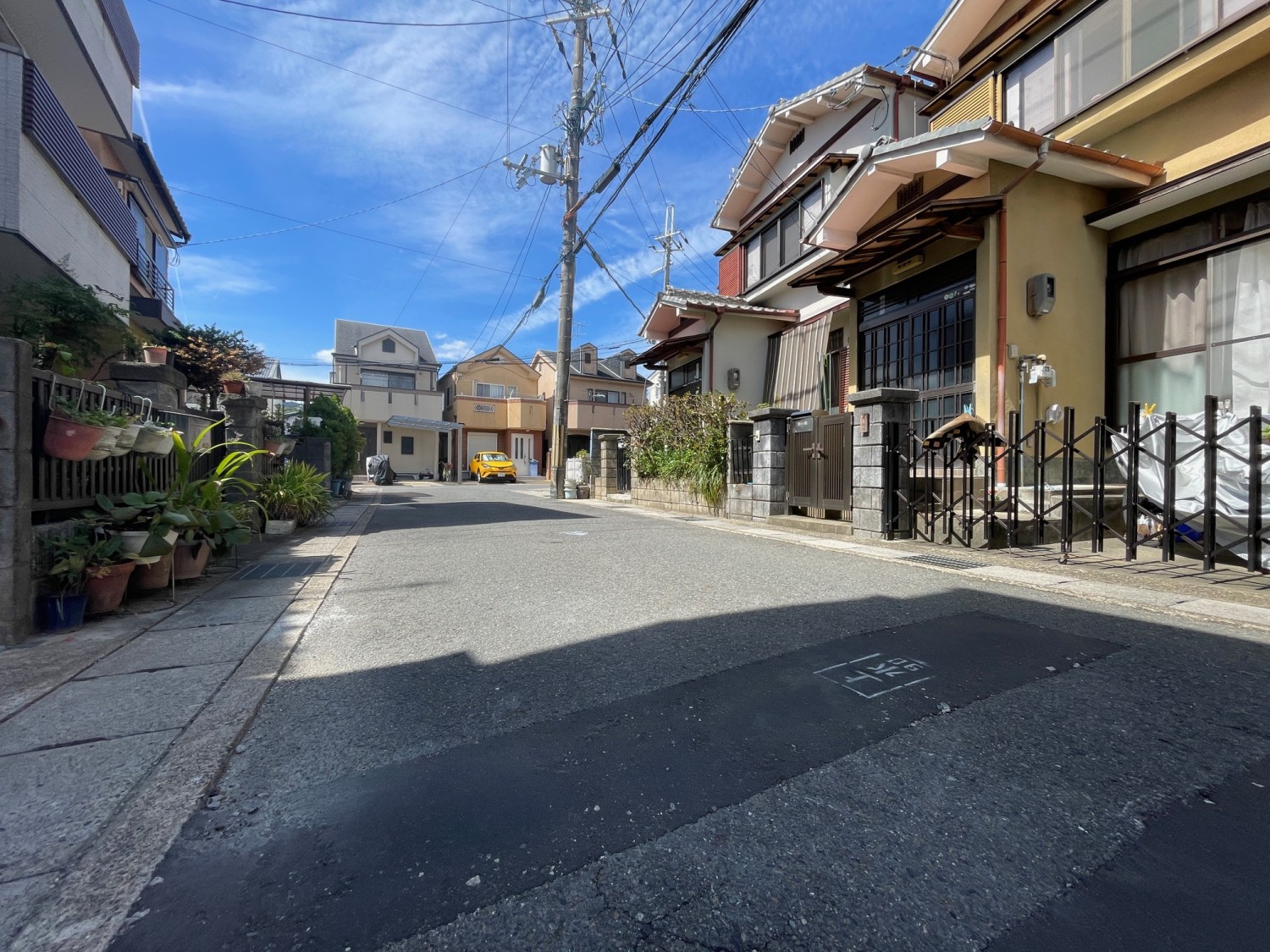写真1