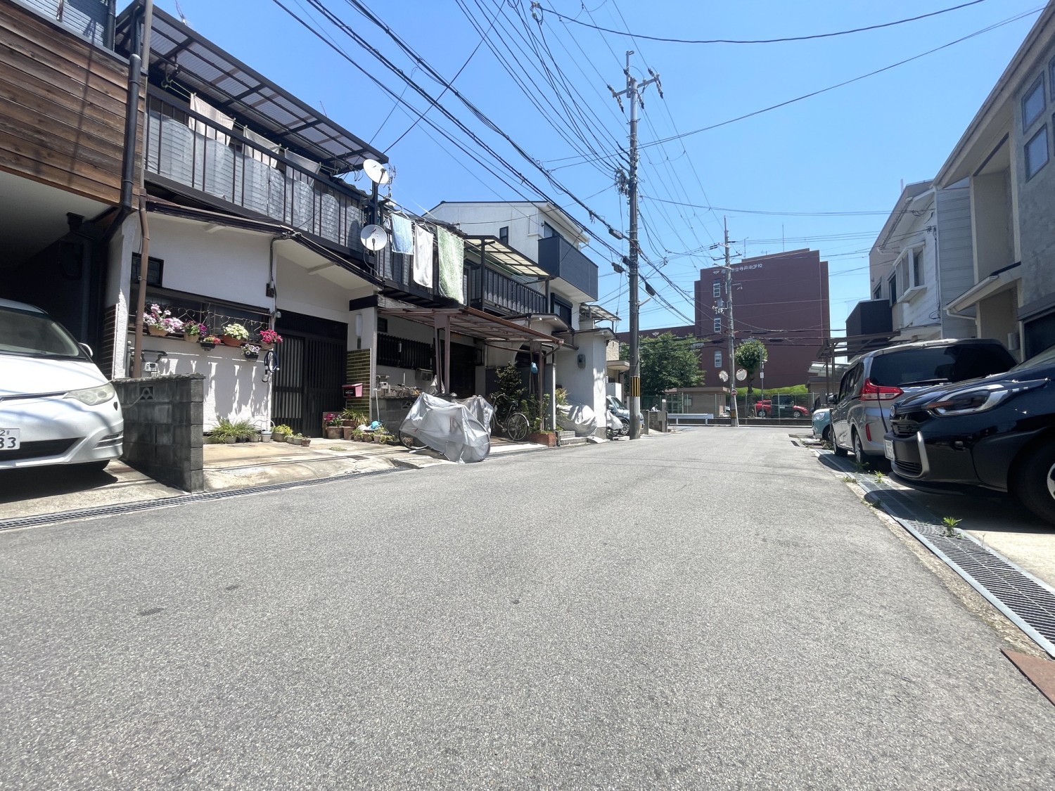 写真1