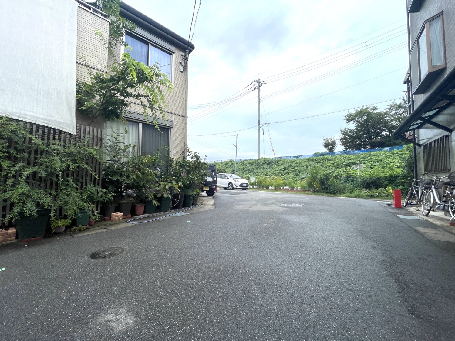 写真1