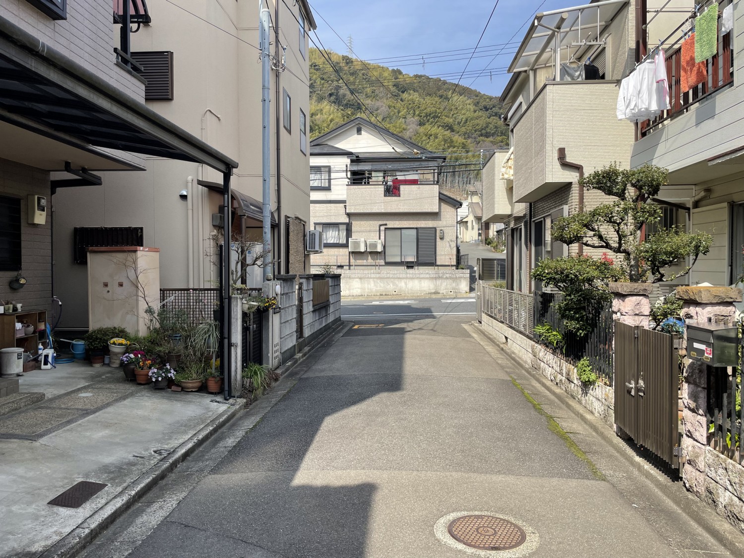 写真4