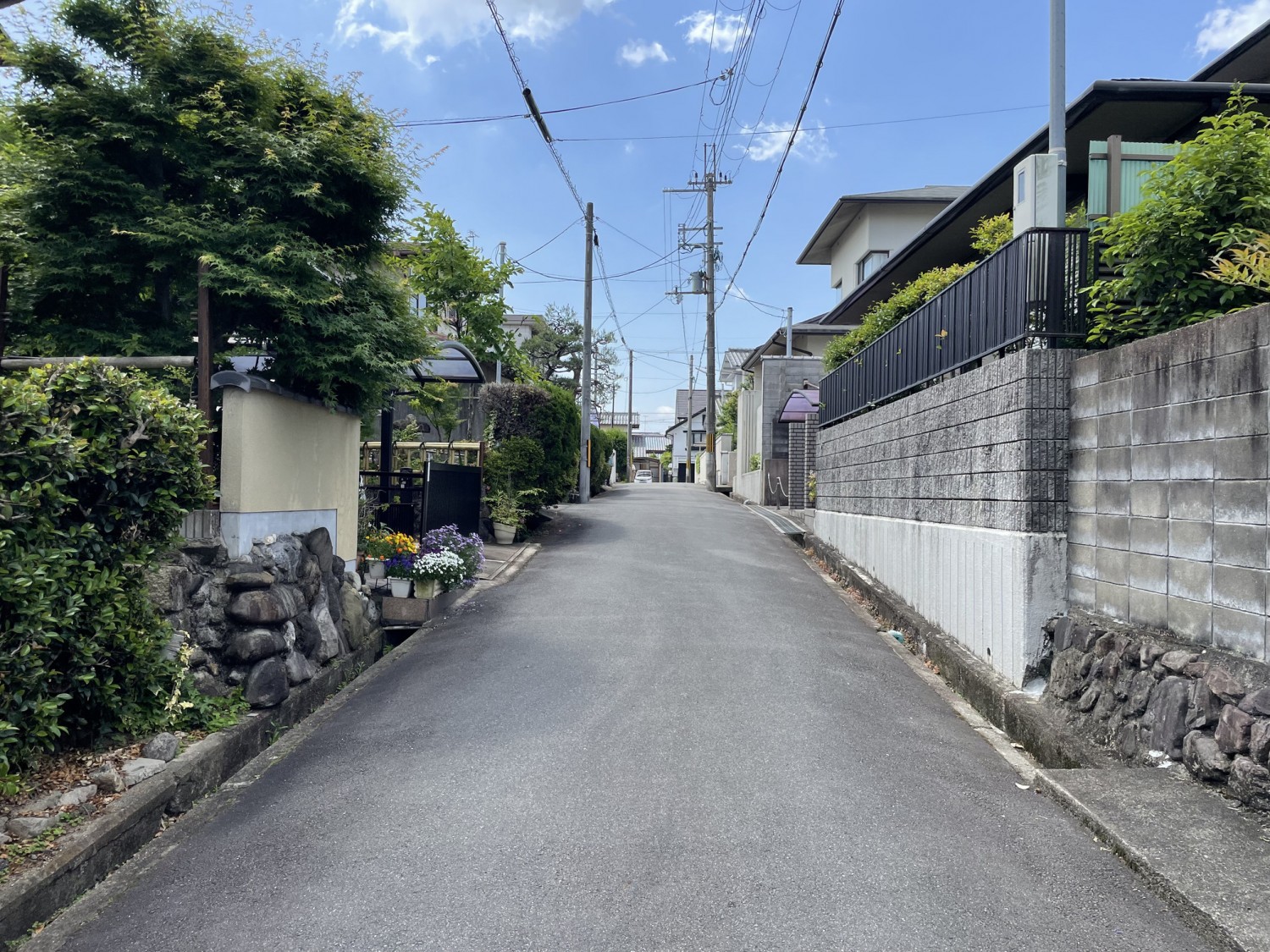 写真4