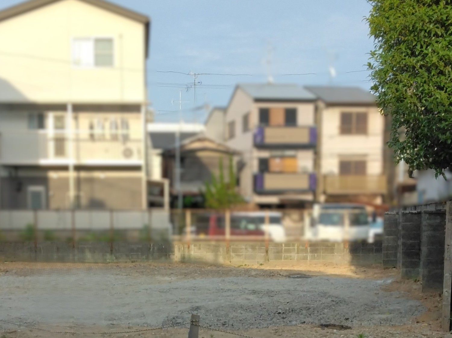 写真1