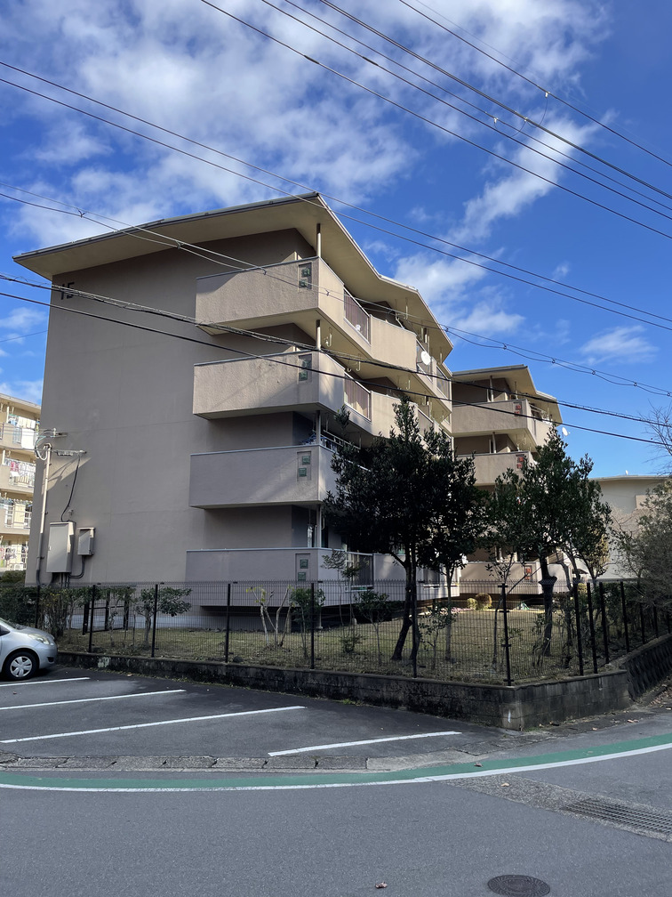写真1