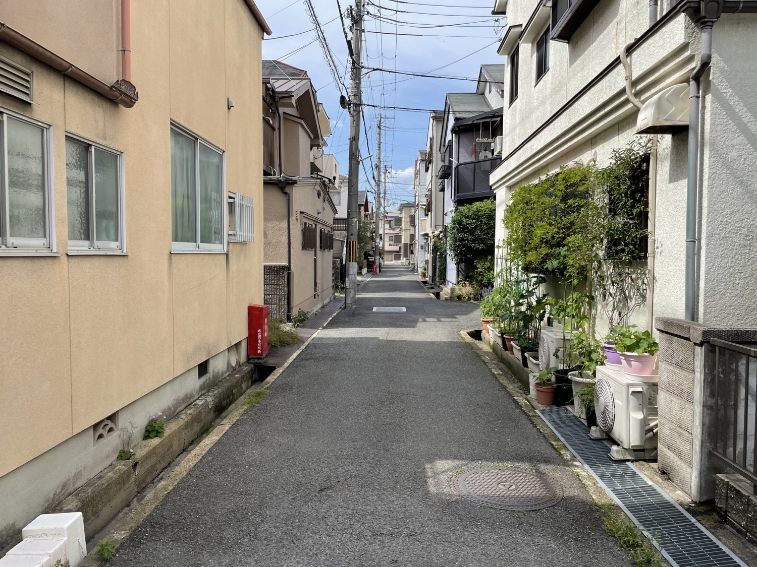 写真2