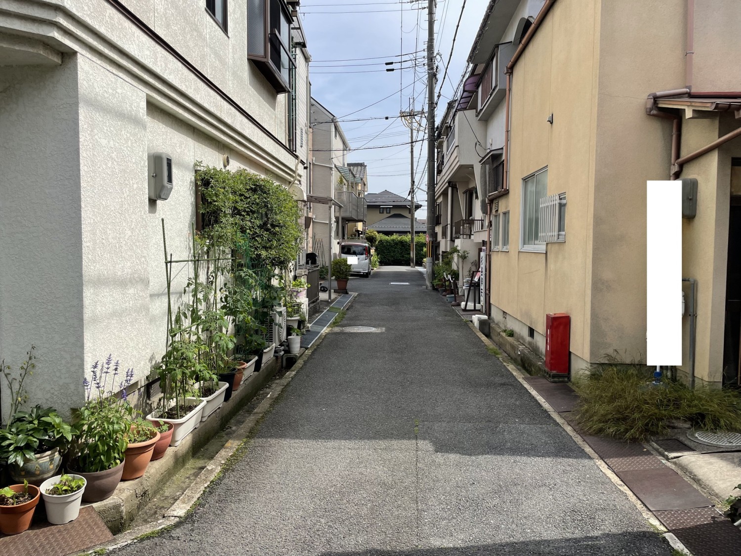 写真5