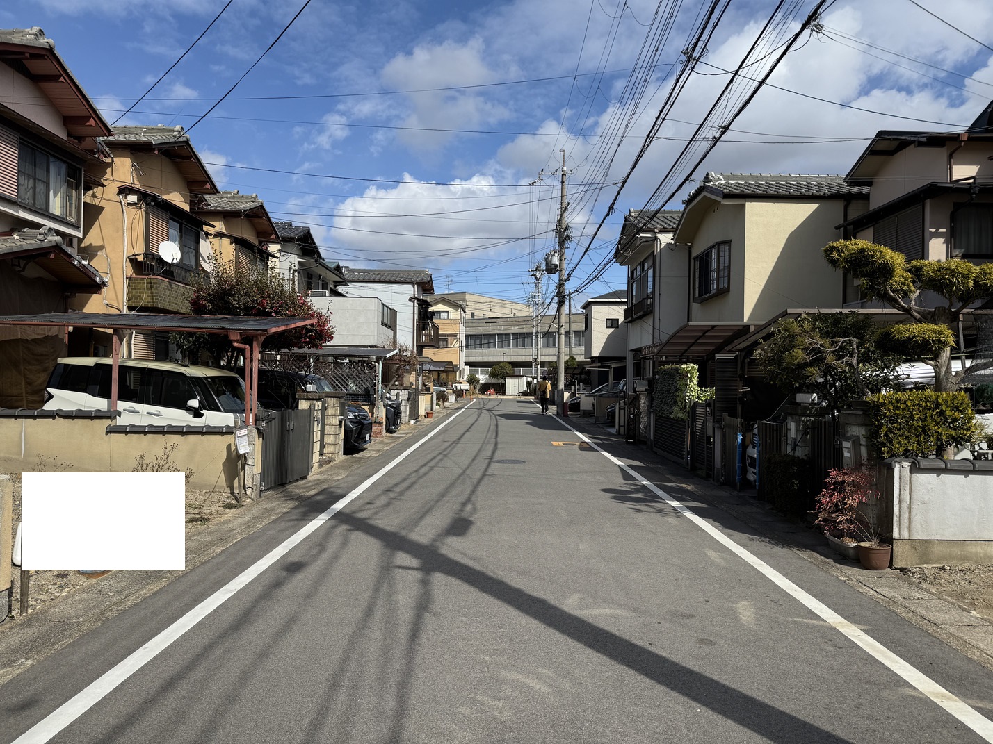 写真3