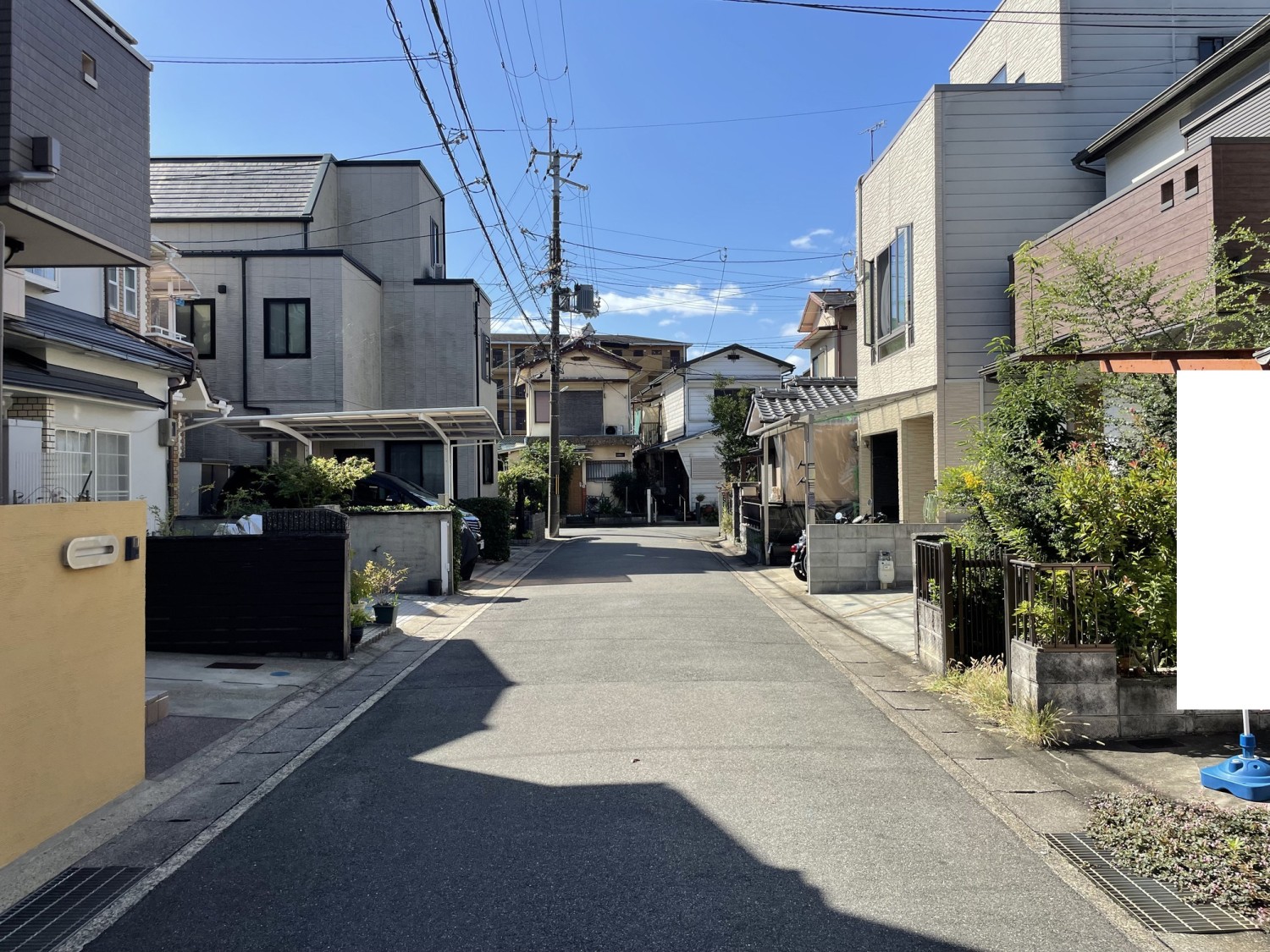 写真3
