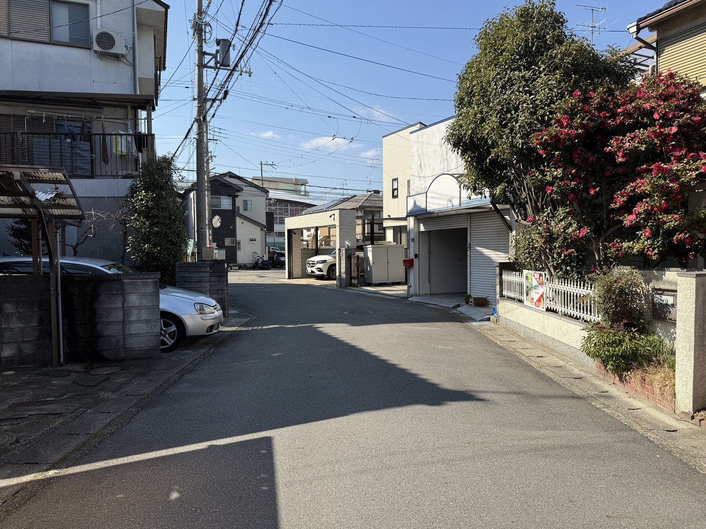 写真3