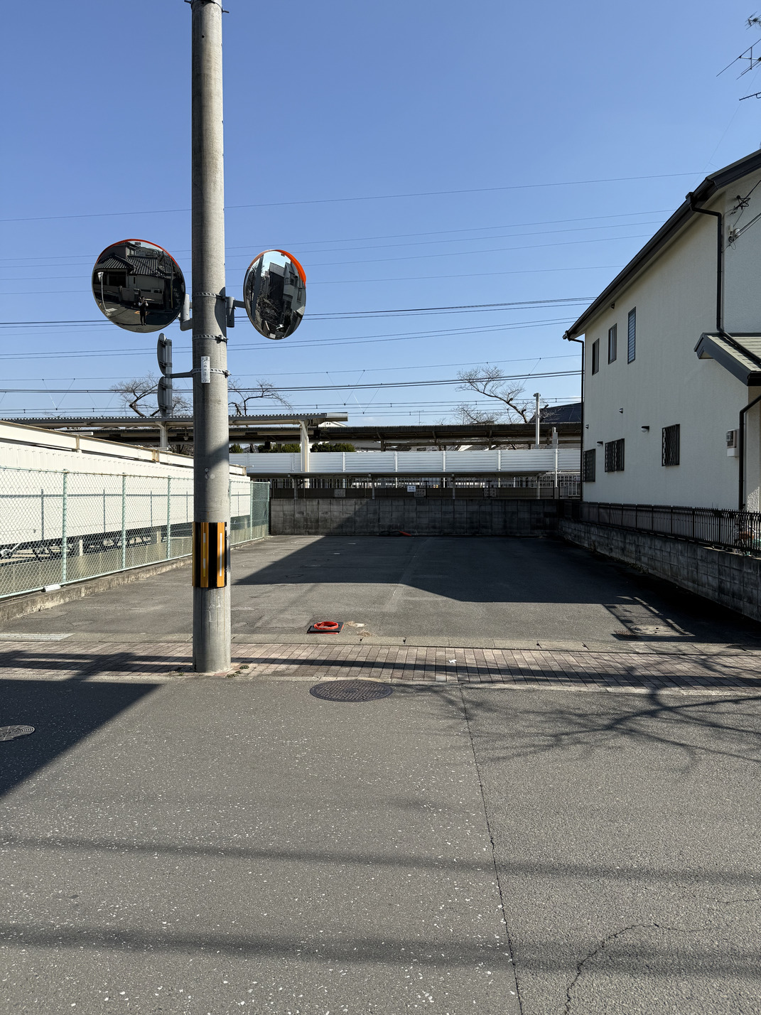 写真1