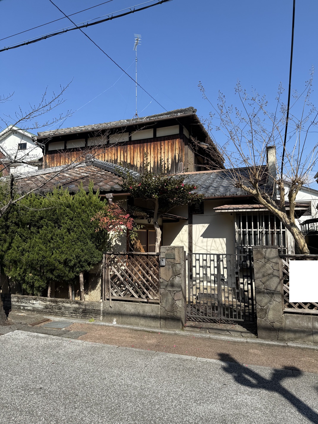 写真1