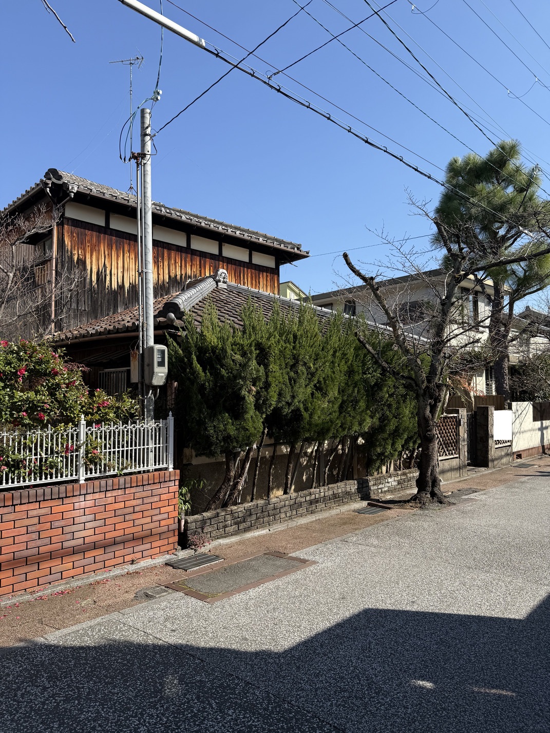 写真2
