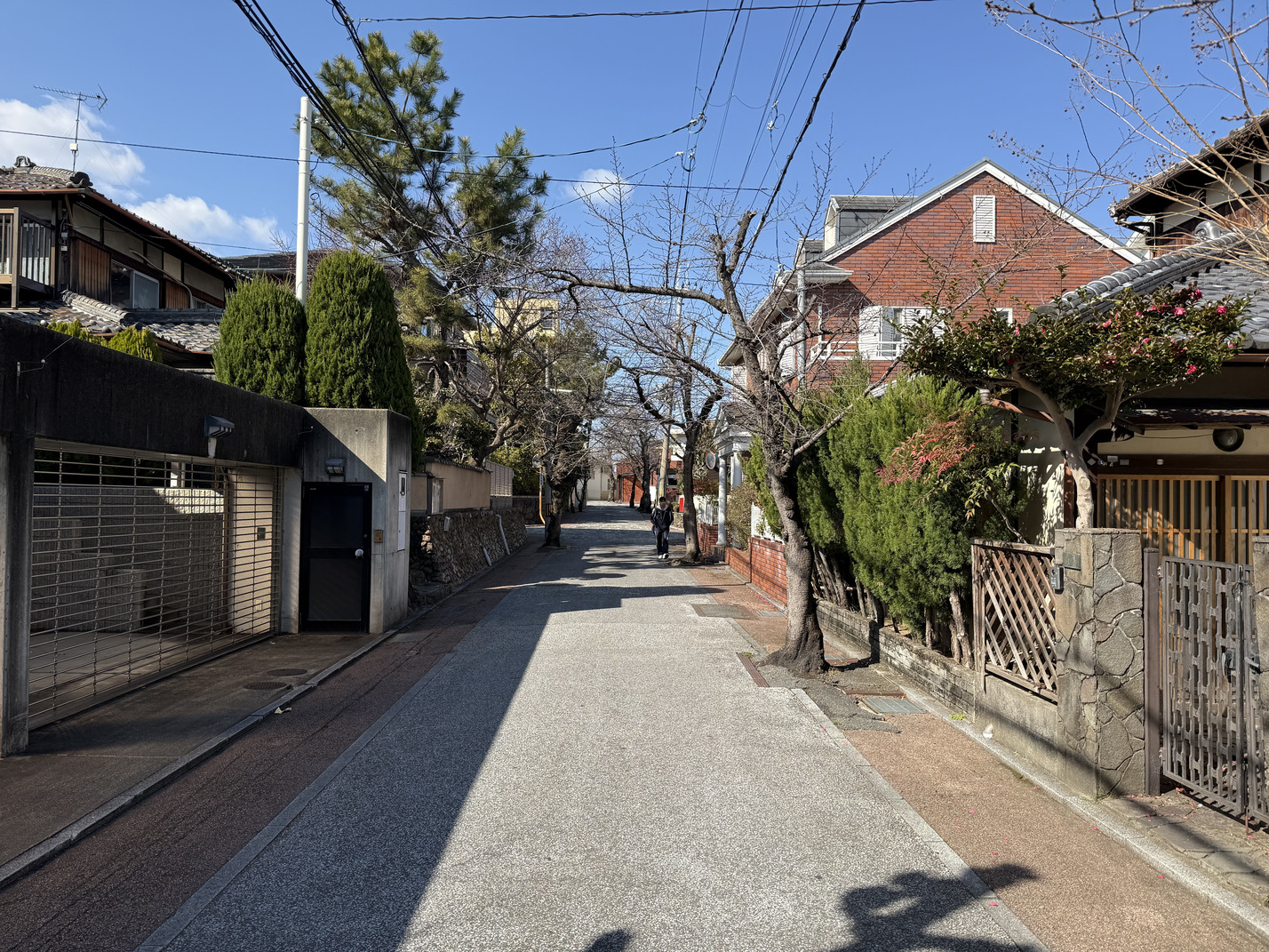 写真3