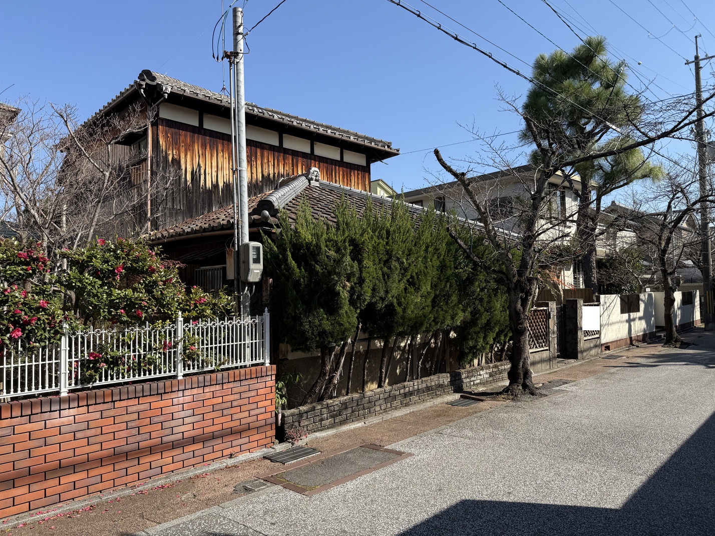 写真6