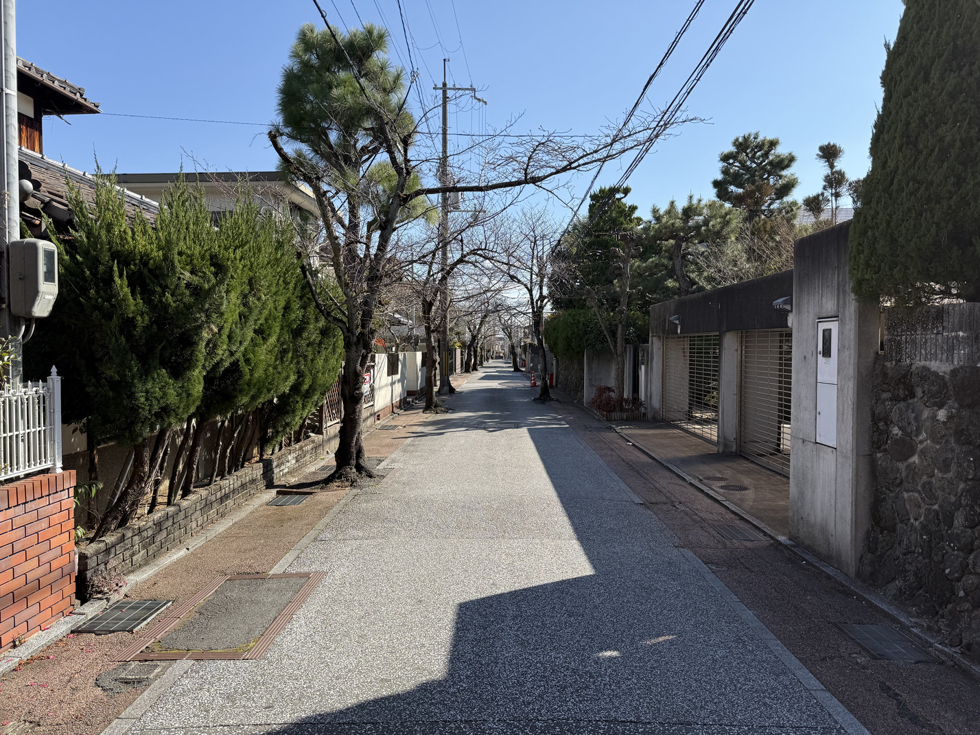 写真7