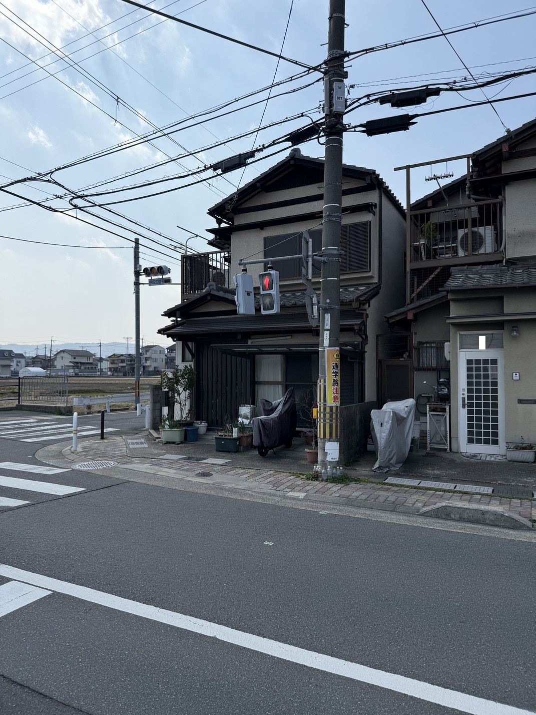 写真1