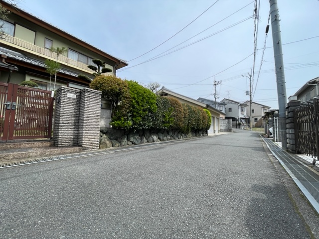 写真1