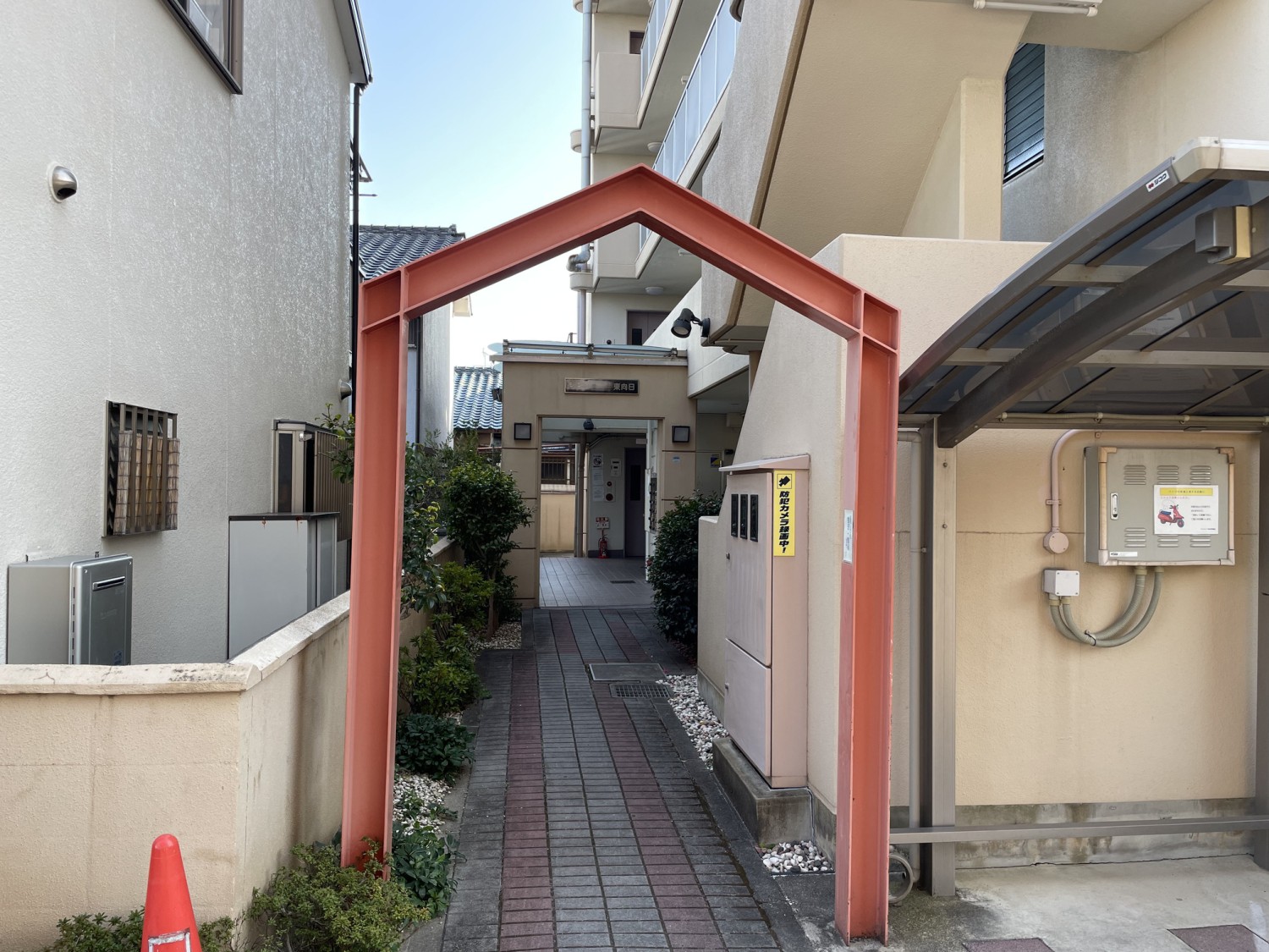 写真1