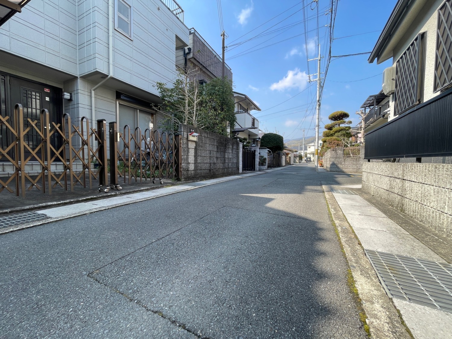 写真2
