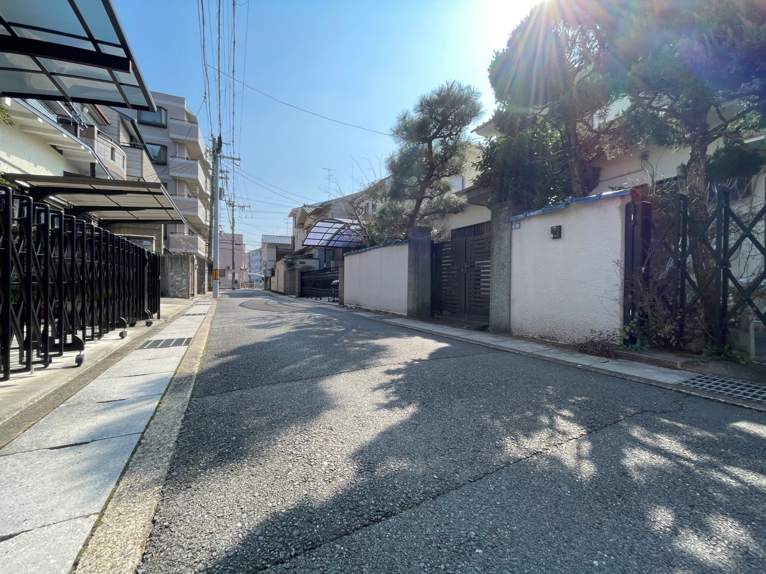 写真3