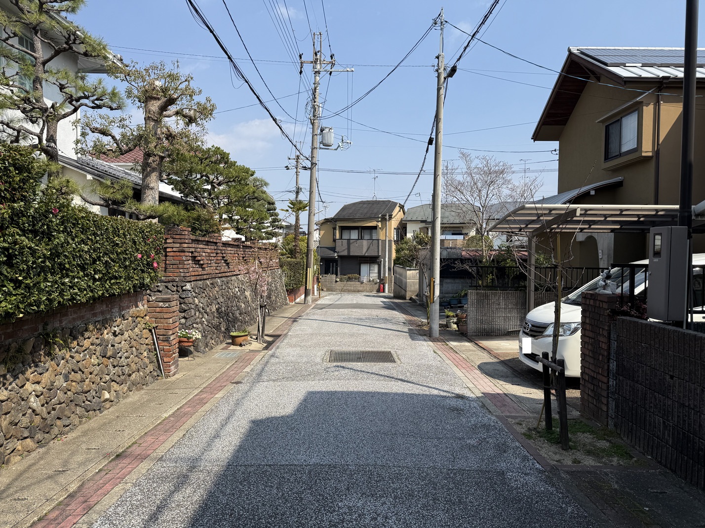 写真7